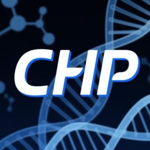 Champion Peptide CHP | CHP Peptide | CHP Peptide Wholesale | Buy CHP Peptide | CHP Peptides | Champion Peptide